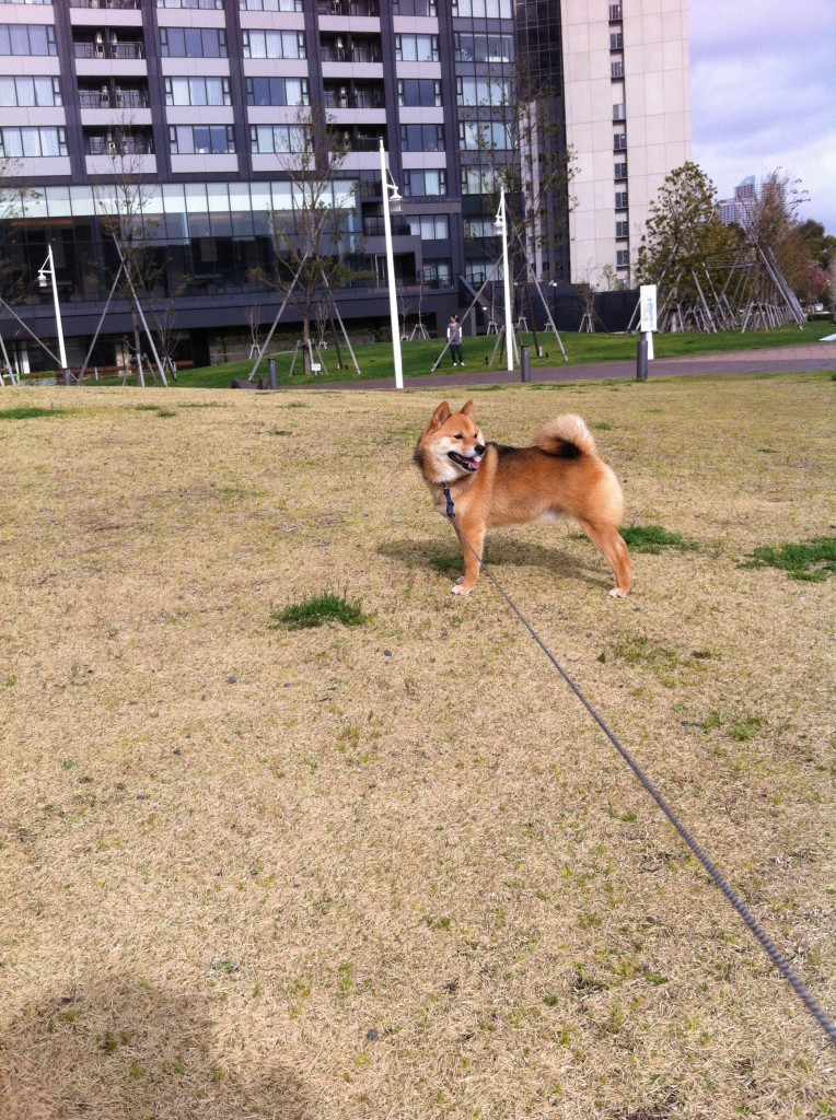 幸せ