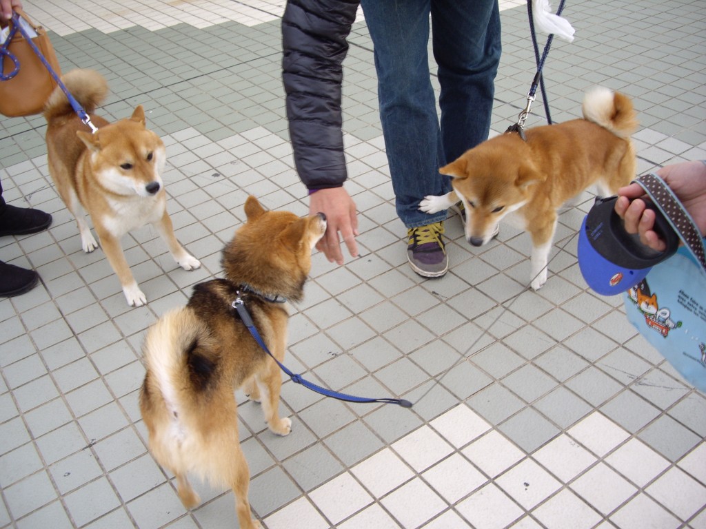 友人は自分から創るもの